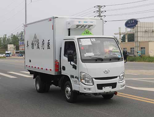 躍進(jìn)小福星醫(yī)廢車(chē)15271321777